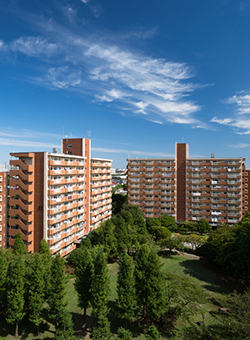 sYoL